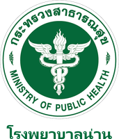 โรงพยาบาลน่าน Nan Hospital
